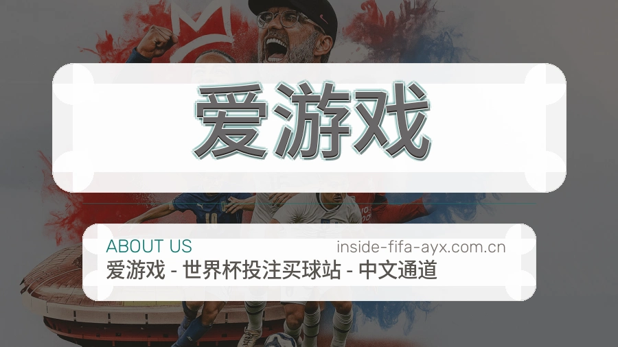爱游戏关于我们